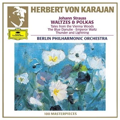 Afbeelding van 1 CD JOHANN STRAUSS WALZER &amp; POLKAS BERLINER HARMONIKER / HERBERT VON KARAJAN