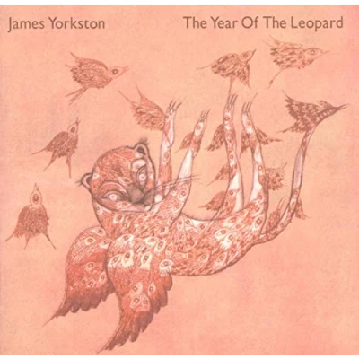 Afbeelding van Year Of The Leopard