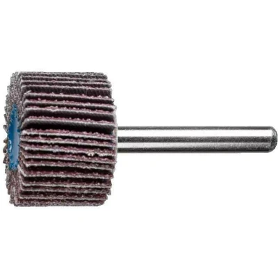 Afbeelding van PFERD 47802247 Lamellenschijf Diameter 30 mm 10 stuk(s)