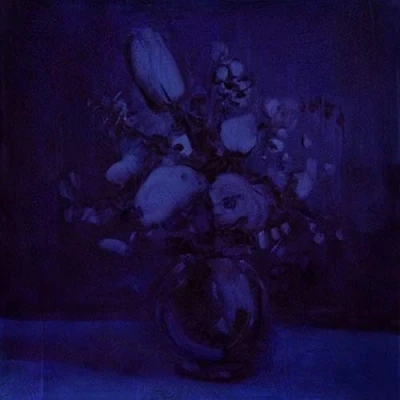 Afbeelding van Deaf Wish Lithium Zion Vinyl LP / 19 07 2018 Coloured