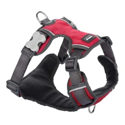 Afbeelding van Red Dingo Tuig Padded Harness body omvang 46 63cm DH PH RE ME