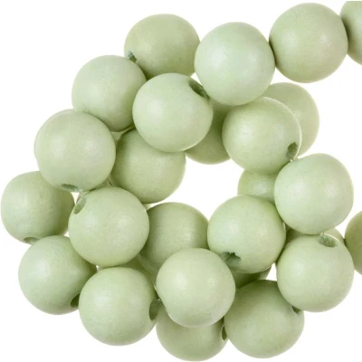 Afbeelding van Houten Kralen Intense Look (16 mm) Pastel Green (25 stuks) voor Sieraden Dreambeads
