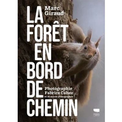 Image de La Forêt en bord de chemin