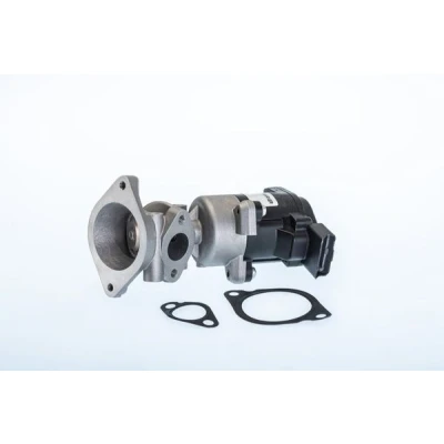 Afbeelding van WAHLER 710984R EGR klep Electrisch Met pakking LAND ROVER: Range Rover Sport