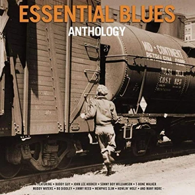 Afbeelding van V/A Essential Blues Anthology (2 LPs)