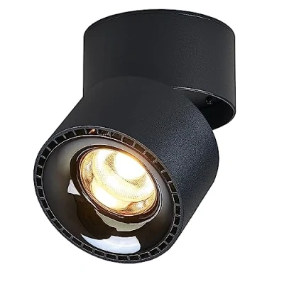 Afbeelding van Budbuddy 12 W led plafondlamp, draaibaar, wandspots, plafondspots, zwart, plafondverlichting, binnen, modern, voor hal, woonkamer, kantoor, winkel en meer, 3000 K