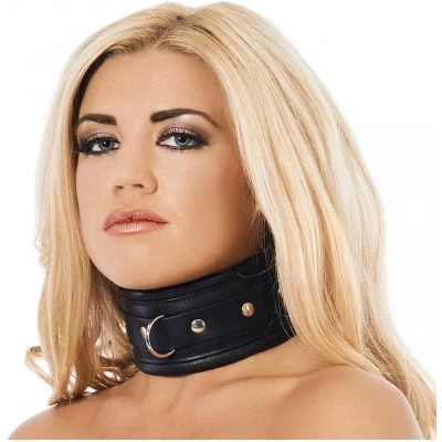Afbeelding van Brede en gevoerde leren collar met D ring zwart maat M/L