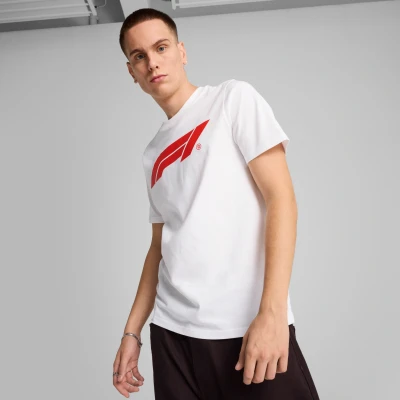 Afbeelding van Puma F1 LOGO TEE Tshirt print, Heren, Maat: XXL, White