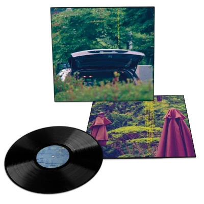 Afbeelding van Eiko &amp; Jim O&#039;Rourke Ishibashi Pareidolia (LP)
