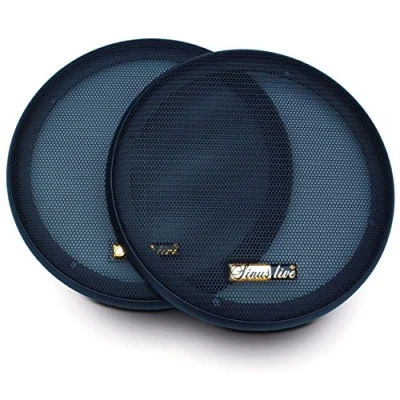 Image de Grille de protection haut parleur 190 mm Sinuslive G 16 I