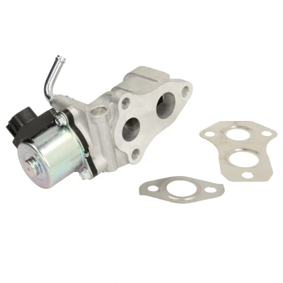 Afbeelding van DELPHI EG10439 12B1 EGR klep TOYOTA: RAV4 II Off Road