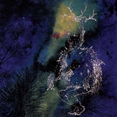 Afbeelding van Bardo Pond Under The Pines (CD)