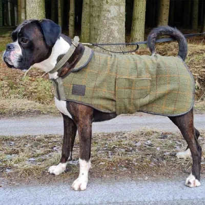 Afbeelding van Digby &amp; Fox Hondenjas Tweed Rood/Geel/Blauw Geruit XXXS