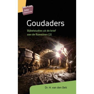 Afbeelding van Artios Bijbelstudies Goudaders