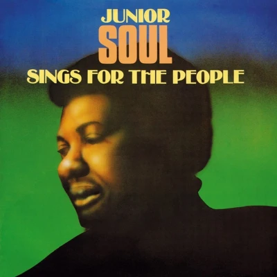 Afbeelding van Junior Soul Sings For the People (LP)
