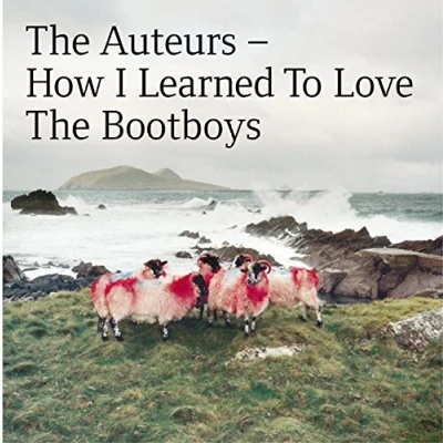 Afbeelding van How I Learned To Love The Bootboys Expanded Edition