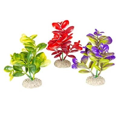 Afbeelding van Aqua Della Aquariumdecoratie Vissen Plant Crassula M Height 16cm Gemengde Kleuren 1st