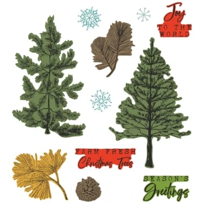 Afbeelding van Sizzix Framelits Die w/Stamps by 49 and Market A5 Pine Holidays (16+5pcs) (666711)