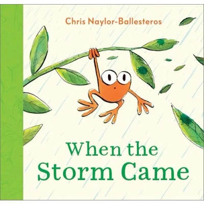 Afbeelding van When the Storm Came