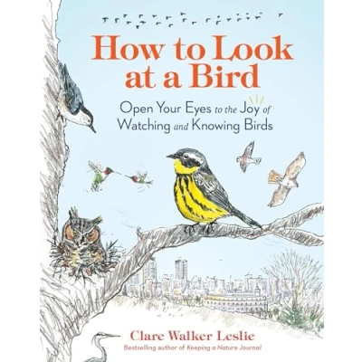Afbeelding van How to Look at a Bird