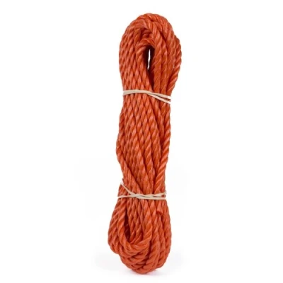 Afbeelding van Benson Touw Streng 6 mm x 10 meter Oranje