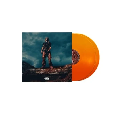 Afbeelding van Destroy Lonely Love Lasts Forever (LP) (Coloured Edition)