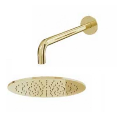 Afbeelding van Waterevolution Flow hoofddouche 250mm met muuraansluiting Light Gold