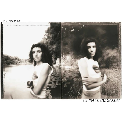 Afbeelding van P.J. Harvey Is This Desire? (LP)