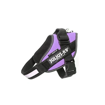 Afbeelding van Julius K9 IDC voedingsharnas paars (M, Hond, Algemeen, Hondensport, Joggen, Loop), Kraag + Leiband