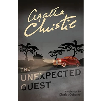Afbeelding van Unexpected Guest
