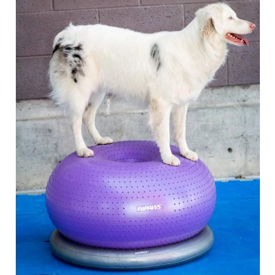 Afbeelding van FitPAWS Donut