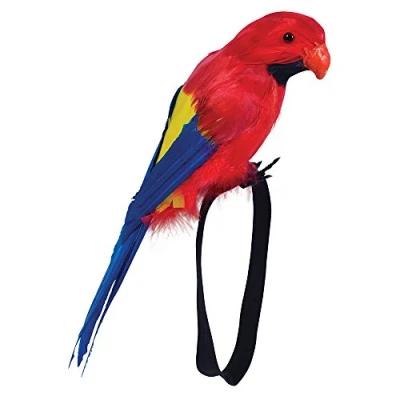 Image de Bristol Novelty BA351 Perroquet à plumes pour poignet, unisexe, adulte, taille unique Halloween