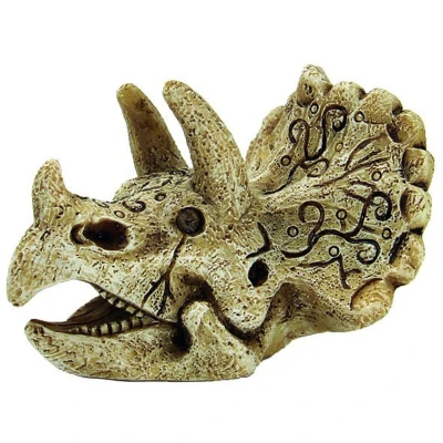 Afbeelding van Superfish Skull Triceratops Maat S