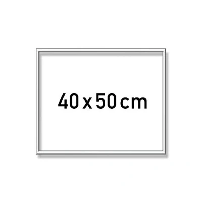 Afbeelding van MNZ ALURAHMEN SIL, 40X50