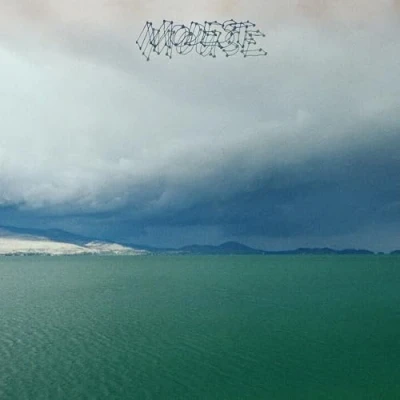 Afbeelding van Modest Mouse Fruit That Ate Itself (LP)
