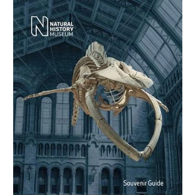 Afbeelding van Natural History Museum