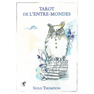 Image de Tarot de l&#039;entre mondes Coffret
