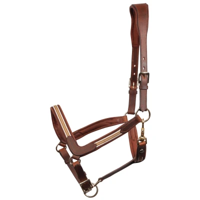 Image de Harry&#039;s Horse Licol Leder Flash MarronVendu par Agradi