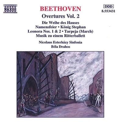Afbeelding van Nicolaus Esterhazy Sinfonia Overtures Volume 2 (CD)