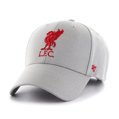 Afbeelding van 47 Brand Fc Liverpool Most Valuable verstelbare pet P. EPL, grijs.