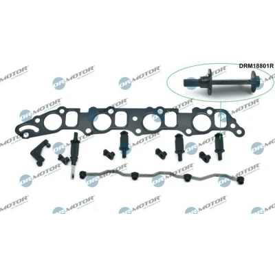 Afbeelding van Reparatieset, zuigbuismodule Dr.Motor Automotive DRM18801R