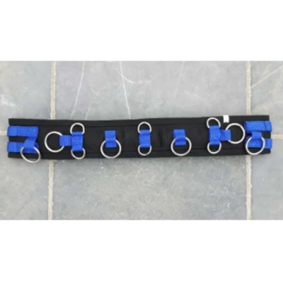 Afbeelding van HB Longeersingel Little Sizes Royal Blue Minishetland
