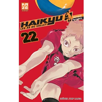 Afbeelding van Haikyu, les as du volley