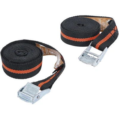 Afbeelding van BGS Spanbandset met snelsluiting 2,5 m x 25 mm 2 delig