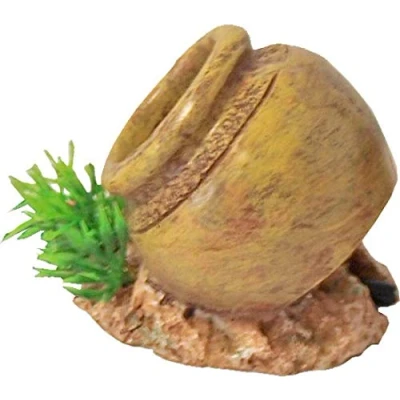 Afbeelding van Boon Pot Met Uitstromer 5.5CM
