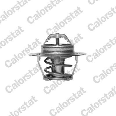 Afbeelding van Calorstat By Vernet Thermostaat TH5977.92J