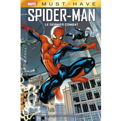 Image de Spider Man : Le dernier combat