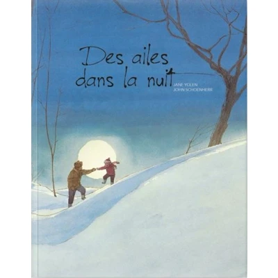 Image de Des ailes dans la nuit