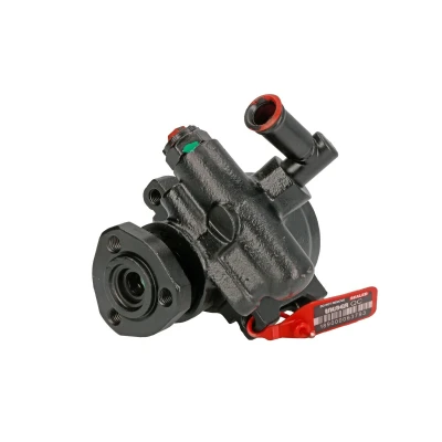 Afbeelding van Lauber Servopomp 55.4112