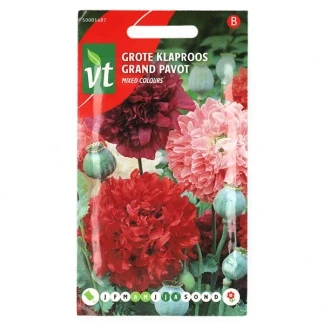 Afbeelding van Papaver Mixed Colours Klaproos National Mix, grote bloemen in gemengde kleuren.